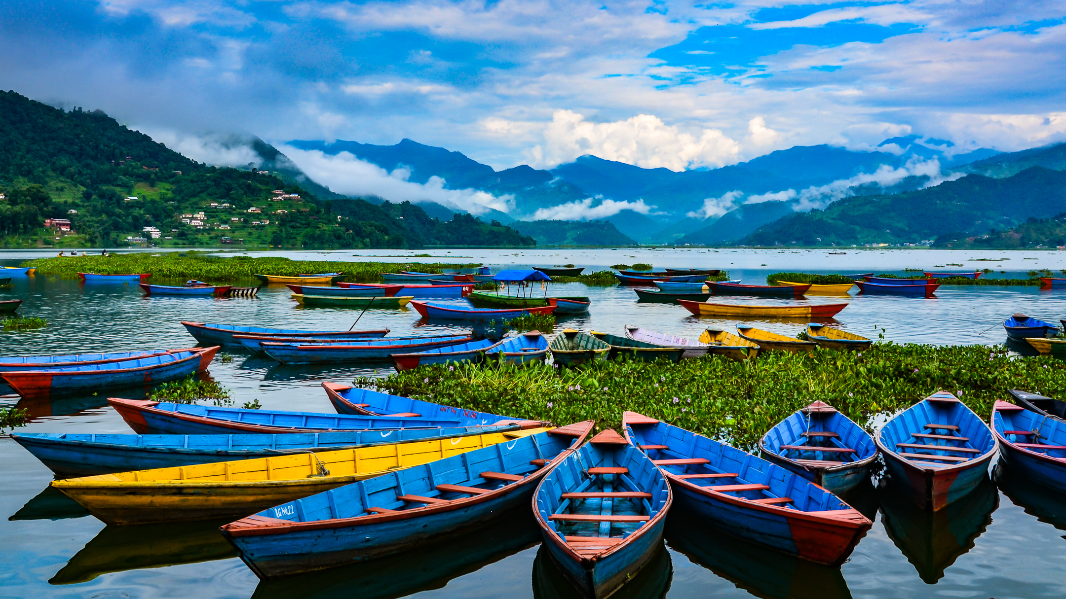 Colorful row boats docked on Lake Phewa in Pokhara, Nepal.